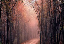 乐投体育：在宣传片中，人物镜头较多的现象通常由多种因素共同决定8亮12回复.